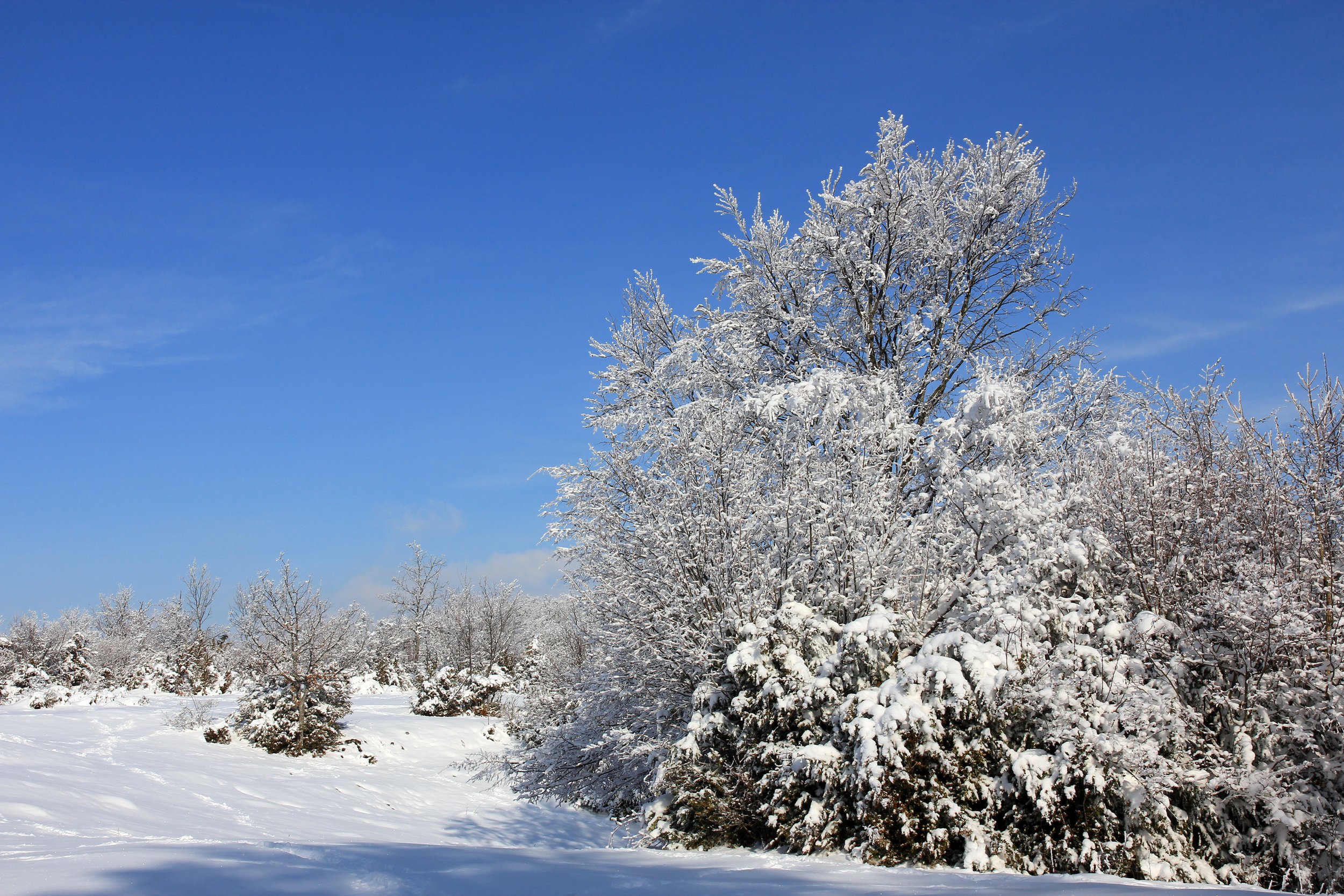 Fonds d'cran Nature Saisons - Hiver 