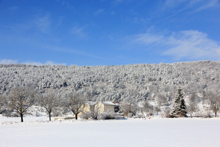 Fonds d'cran Nature Arbres - Forts Grand froid ...