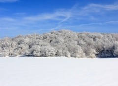 Fonds d'cran Nature Symphonie givre