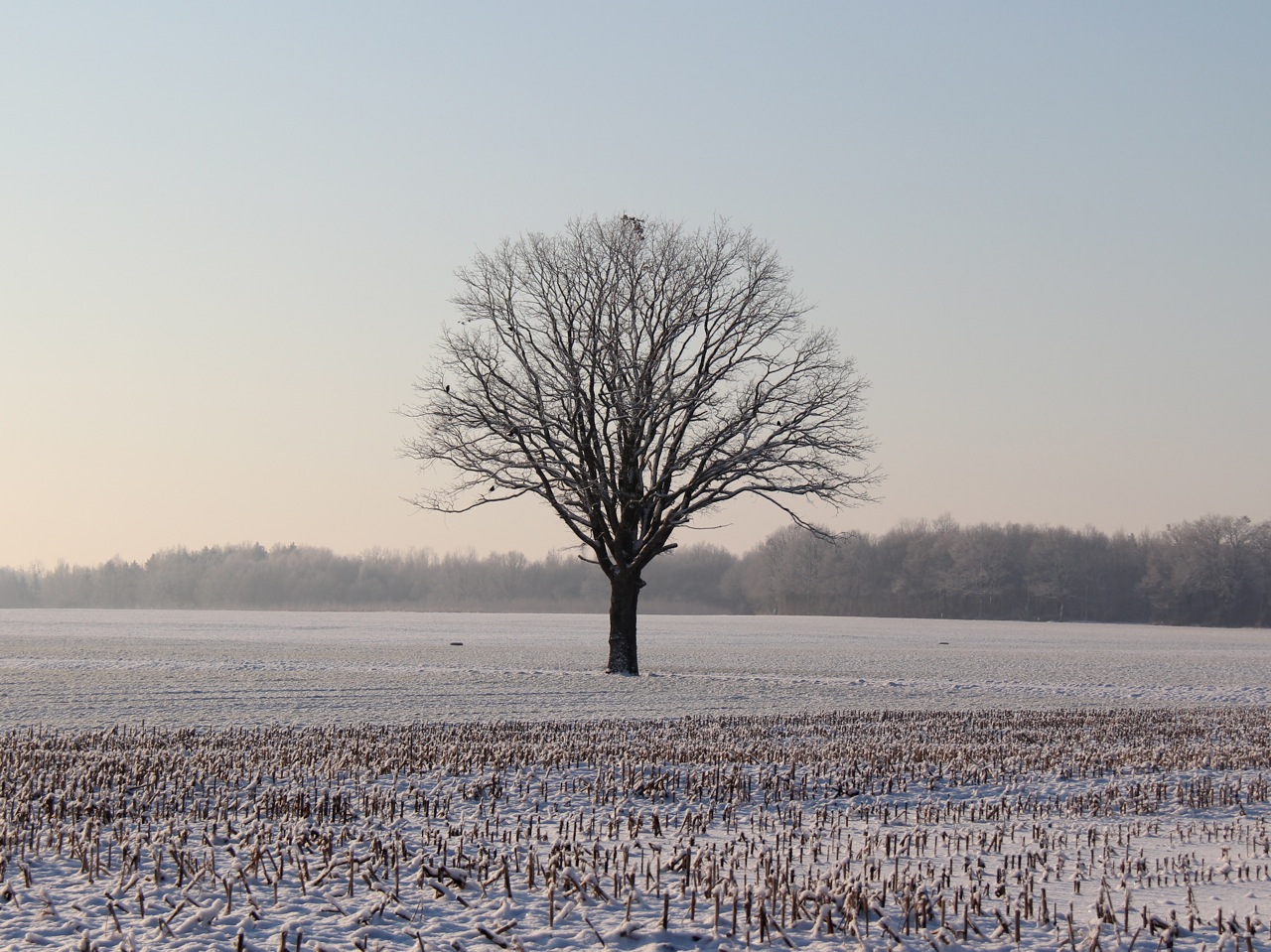 Wallpapers Nature Saisons - Winter 