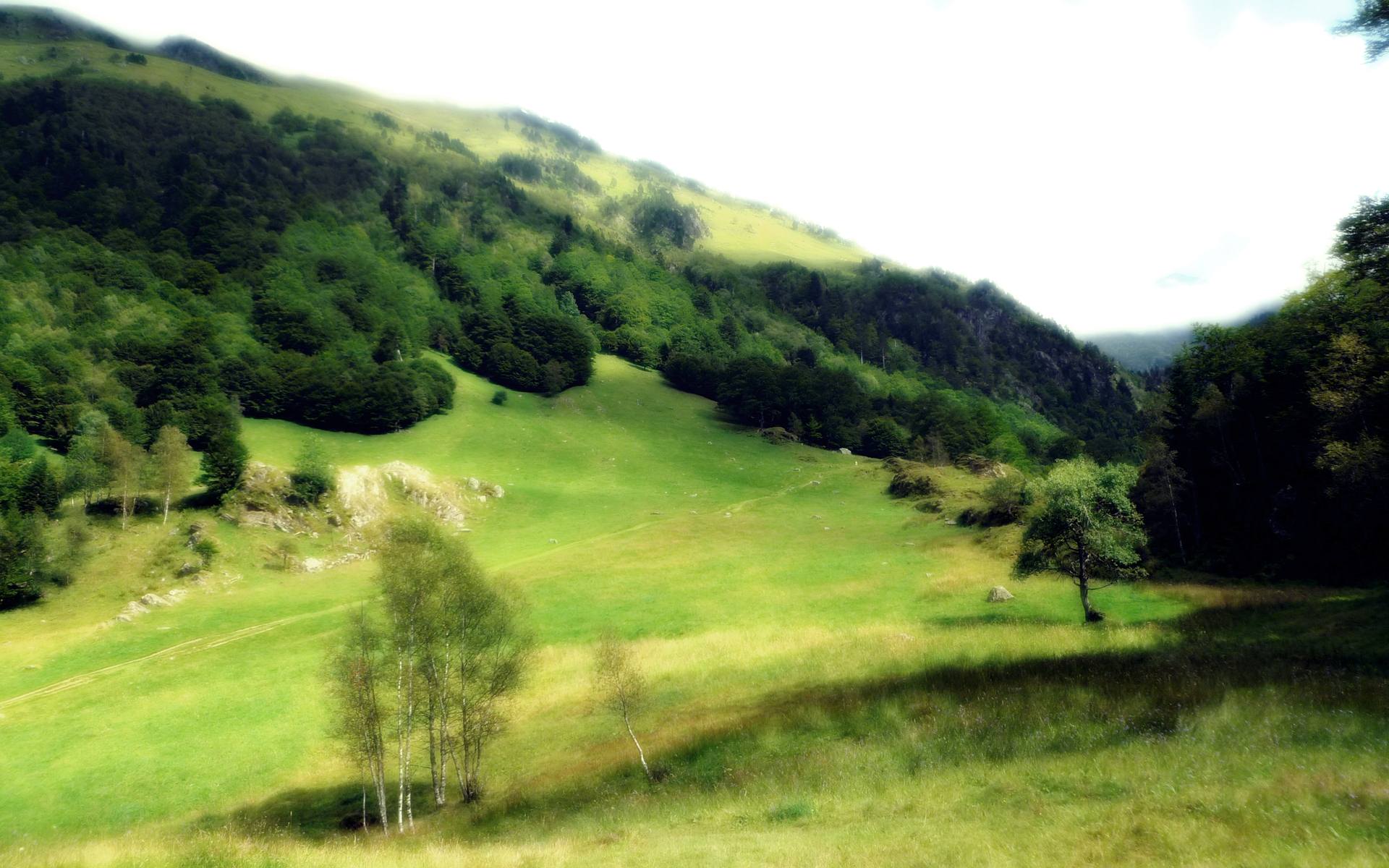 Wallpapers Nature Fields Prairie de l'Artigue (Pyrnes)