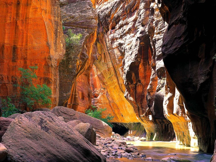 Wallpapers Nature Canyons The narrows