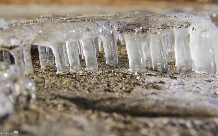 Fonds d'cran Nature Saisons - Hiver Sous-sol