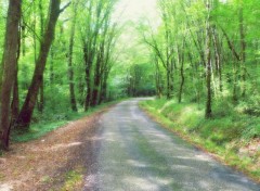 Fonds d'cran Nature Madirac (Gironde)