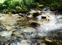 Fonds d'cran Nature Torrent des Pyrnes