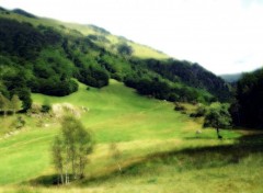 Fonds d'cran Nature Prairie de l'Artigue (Pyrnes)