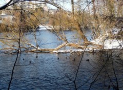 Fonds d'cran Nature La Vienne en hiver