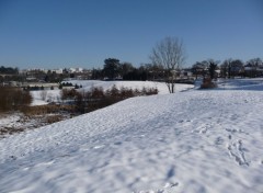 Fonds d'cran Nature Blanc manteau