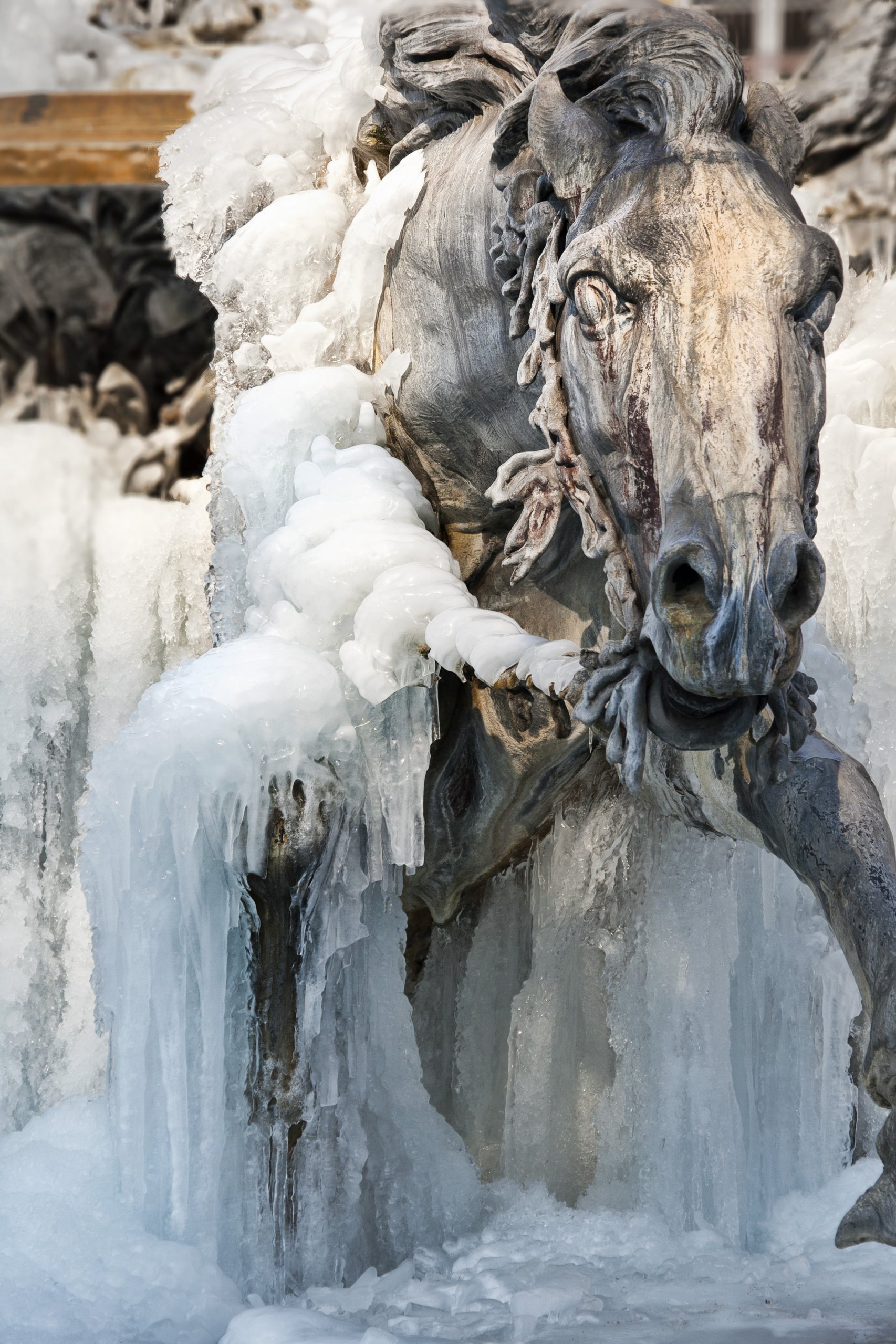 Fonds d'cran Voyages : Europe France > Rhne-Alpes Figer dans la glace