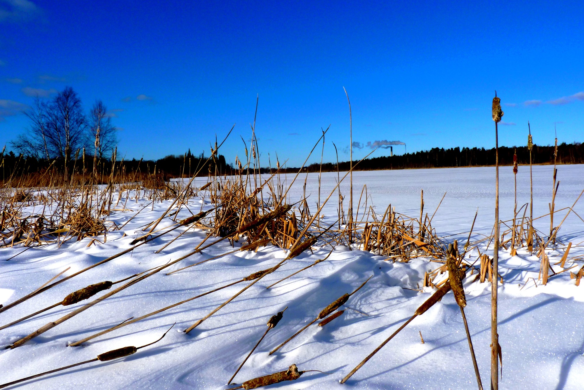 Wallpapers Trips : Europ Sweden Lac enneig de Vxj en hiver 2011 (Smland, Sude)