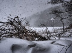 Fonds d'cran Nature Blizzard