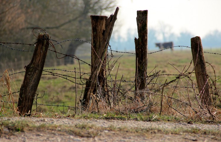 Fonds d'cran Nature Campagne enferme