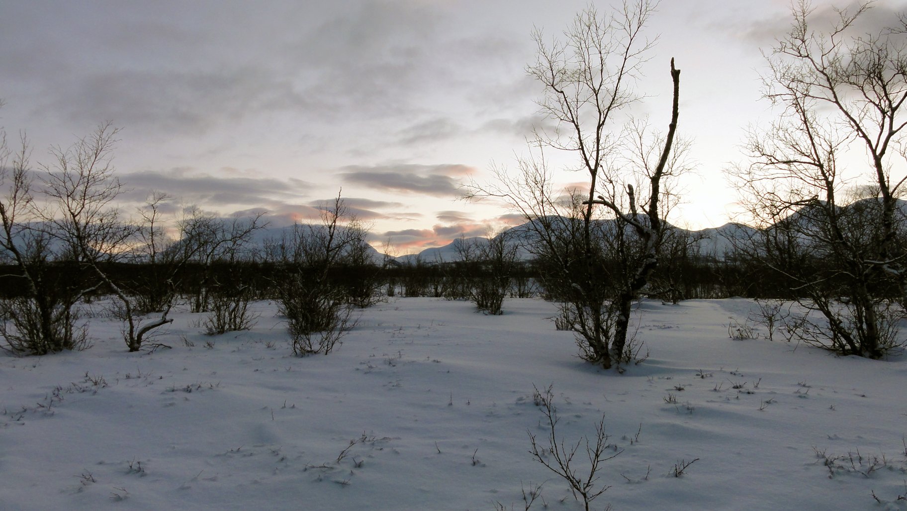 Fonds d'cran Nature Paysages Twilight in Lapland