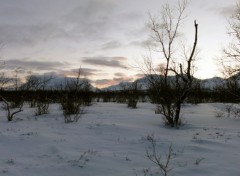 Fonds d'cran Nature Twilight in Lapland