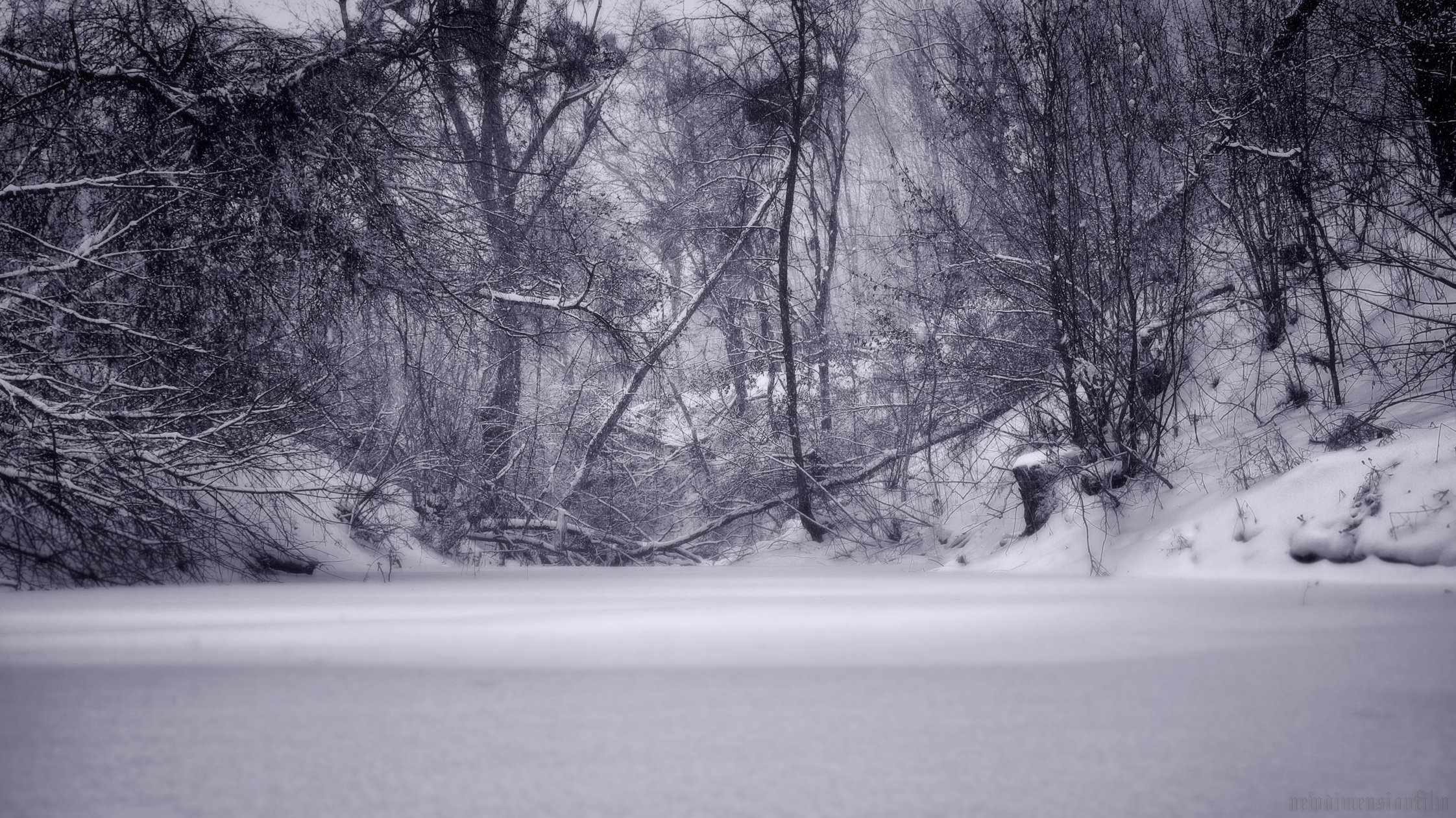 Fonds d'cran Nature Arbres - Forts La rivire gele.