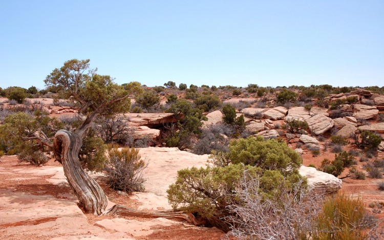 Fonds d'cran Nature Canyons Canyonlands