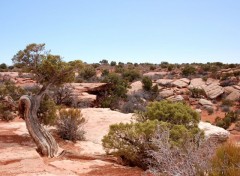 Fonds d'cran Nature Canyonlands