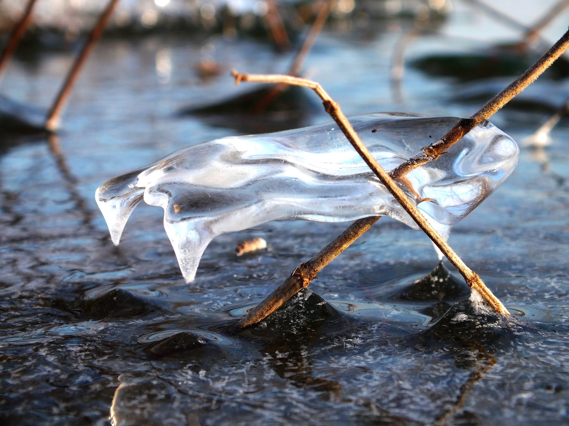 Wallpapers Nature Saisons - Winter corbeille de glace