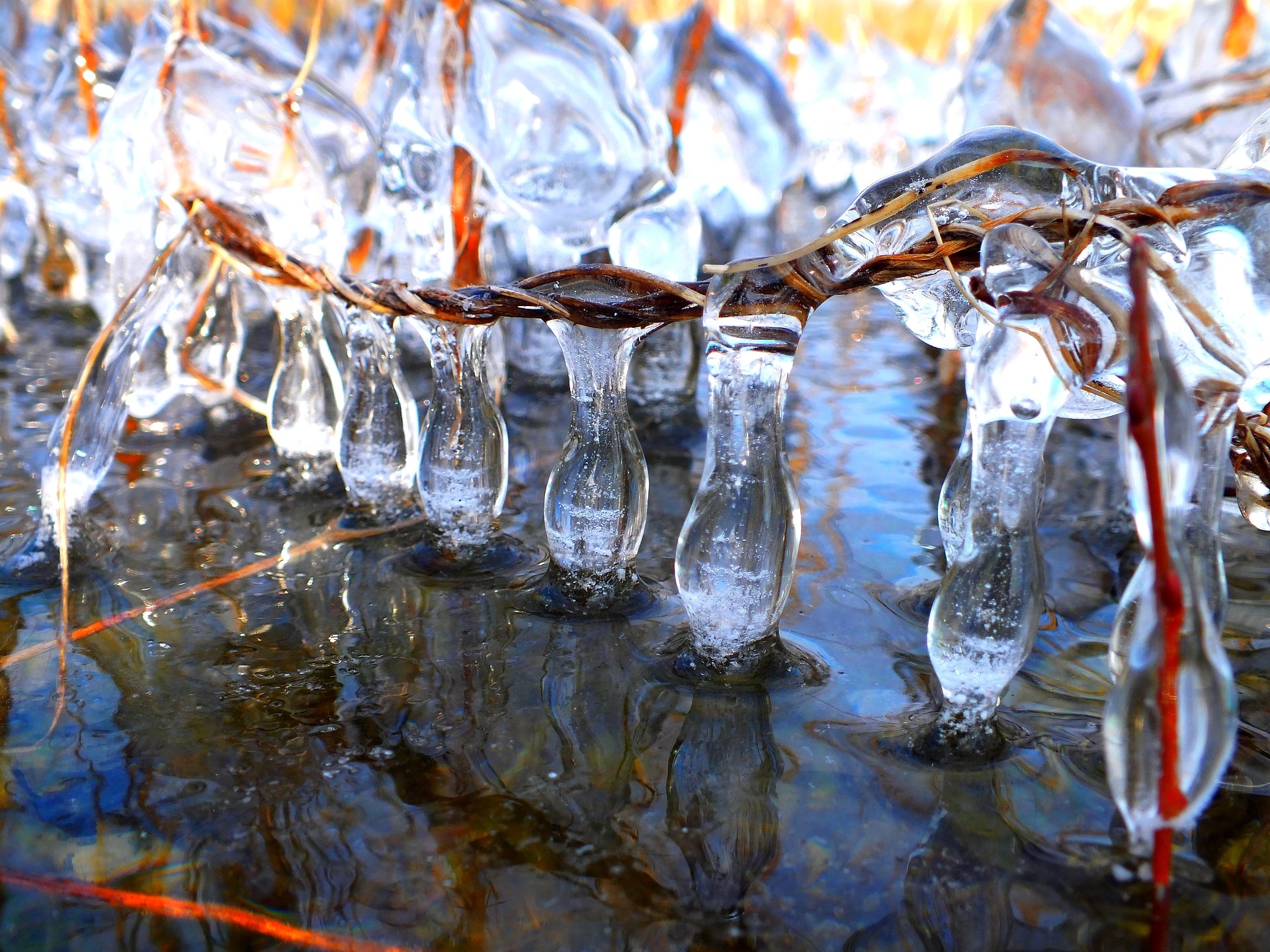 Fonds d'cran Nature Saisons - Hiver 