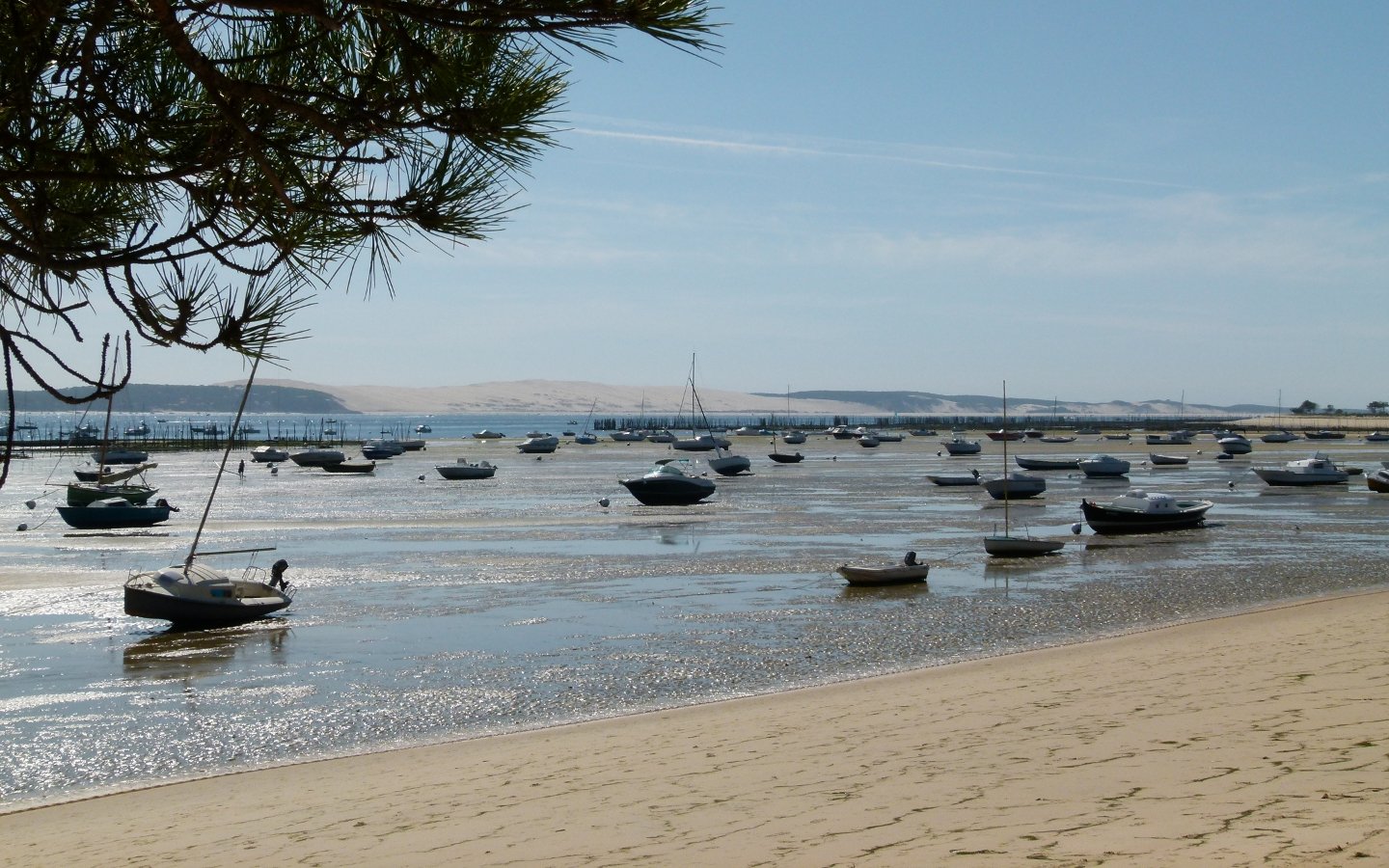 Fonds d'cran Bateaux Voiliers 