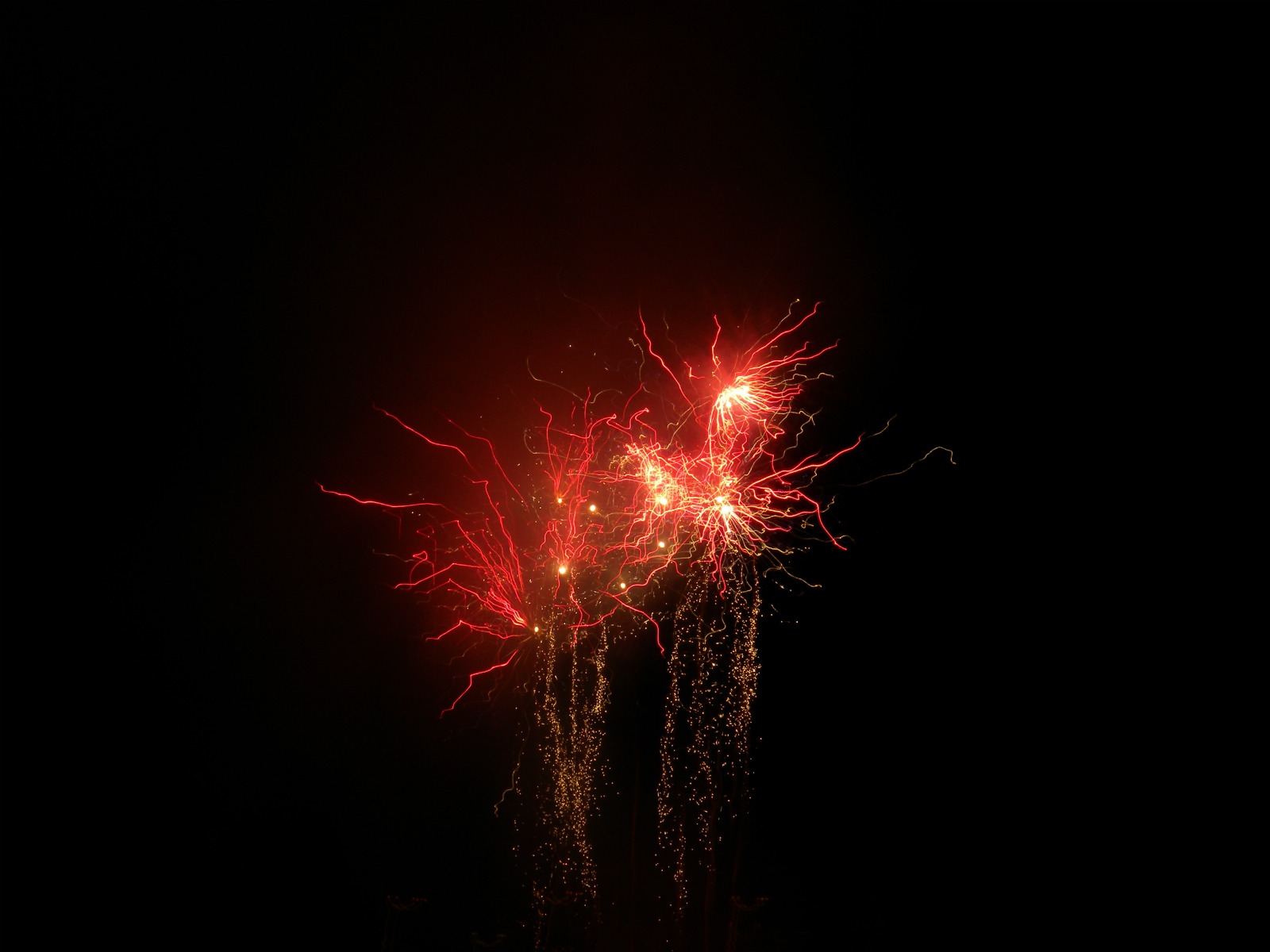 Fonds d'cran Hommes - Evnements Feux d'Artifice 