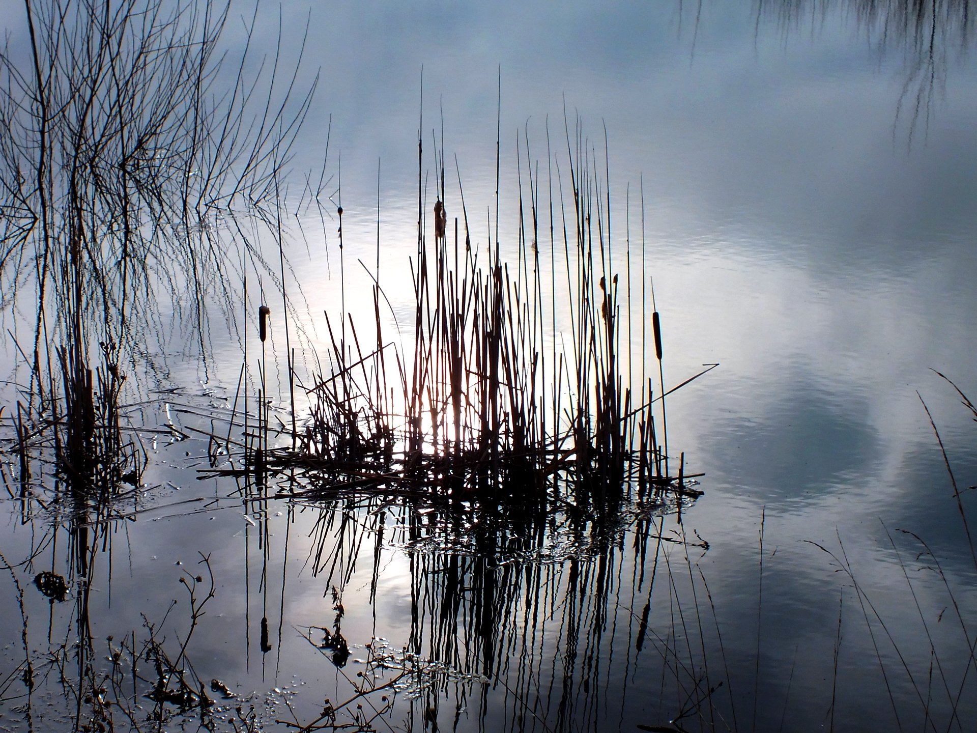 Wallpapers Nature Water - Reflection reflet