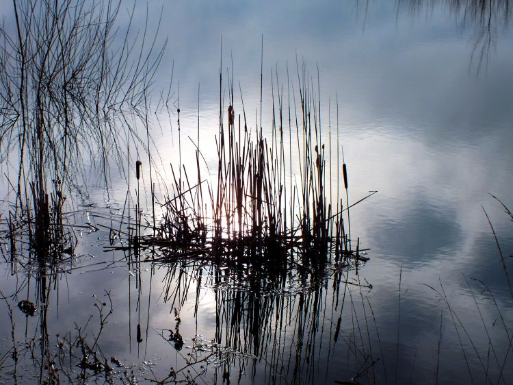 Fonds d'cran Nature Eau - Reflets reflet