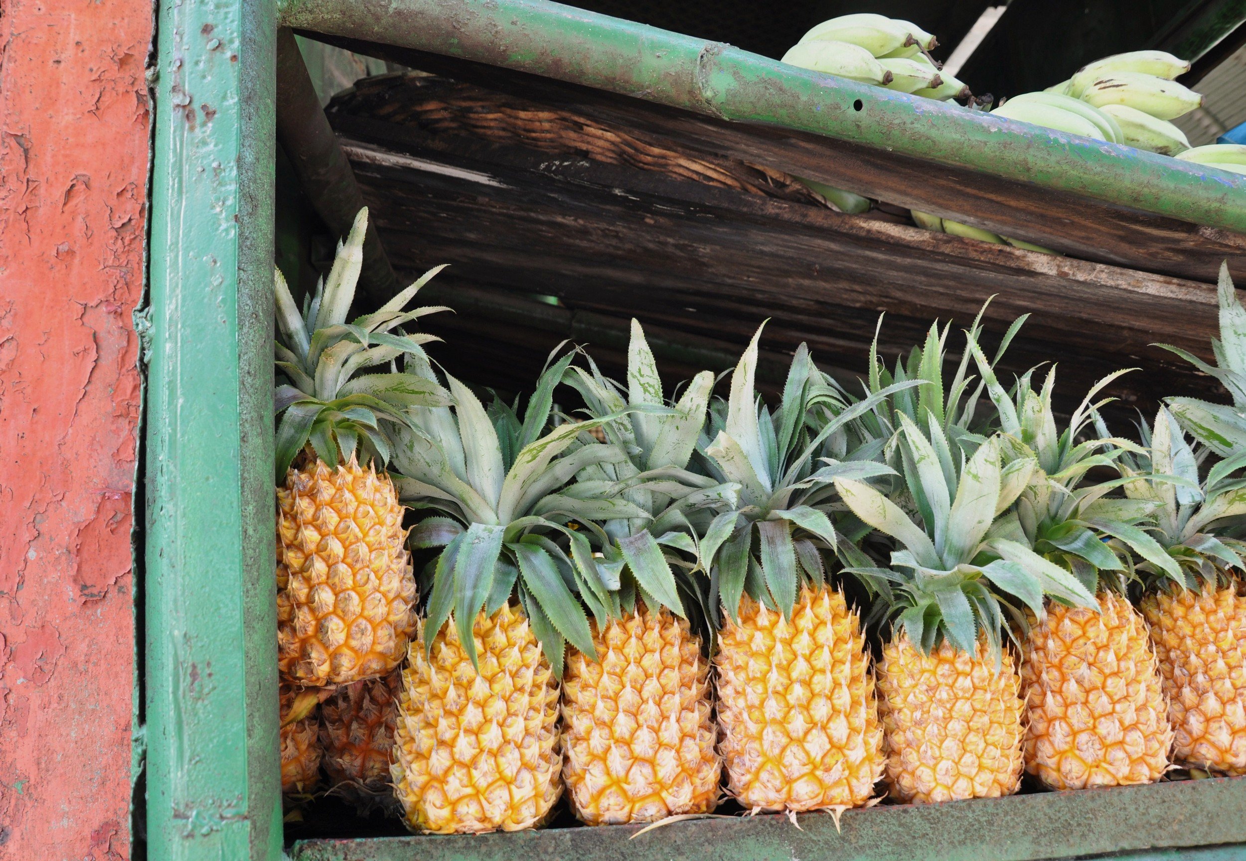 Fonds d'cran Nature Fruits 