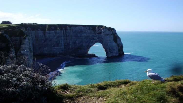 Fonds d'cran Voyages : Europe France > Normandie Etretat