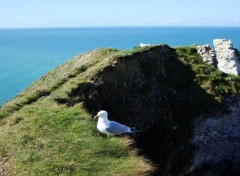  Trips : Europ Etretat