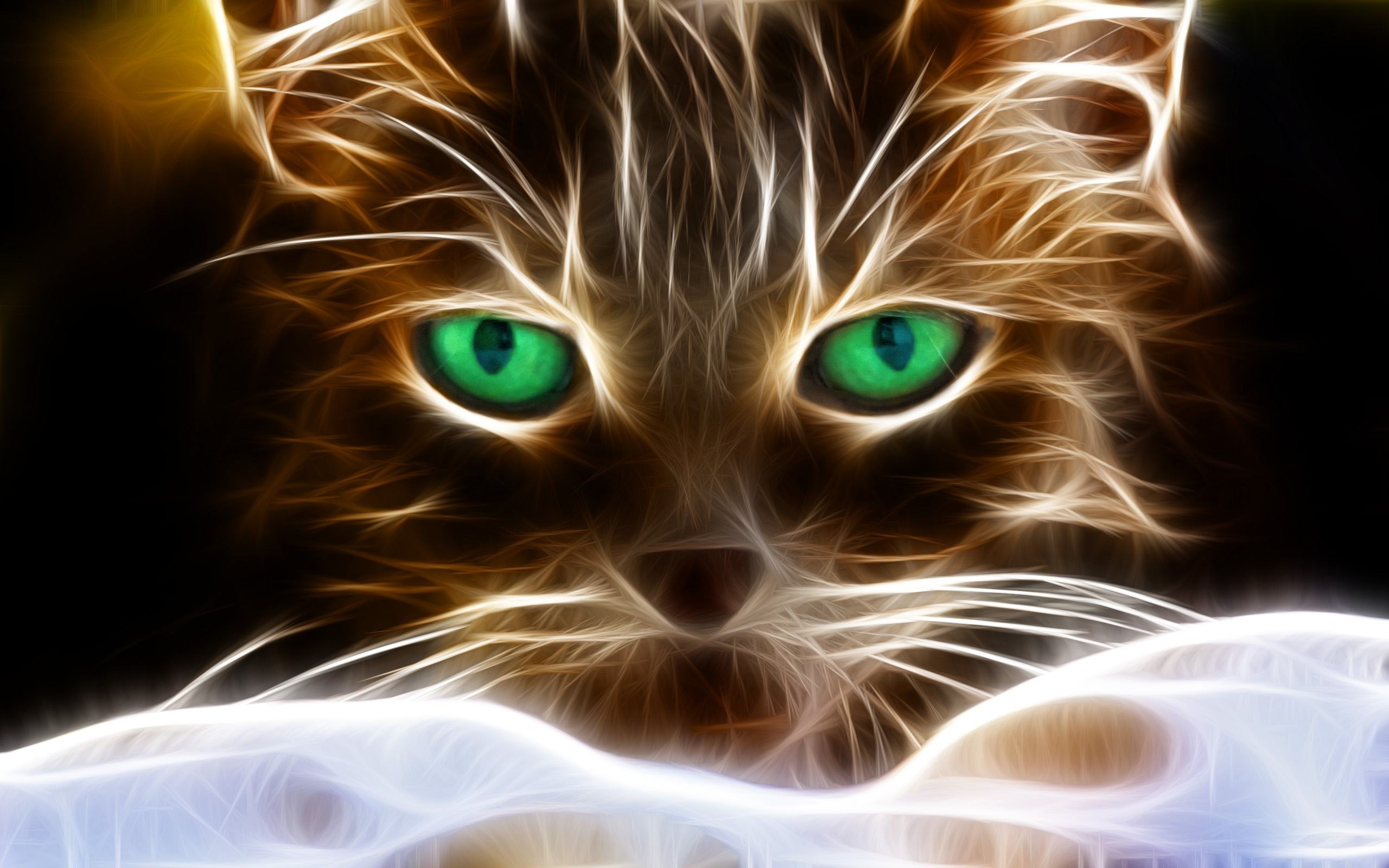 Wallpapers Animals Cats - Kittens Light cat