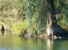  Nature Les pieds dans l'eau