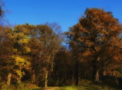  Nature Peinture d'automne.