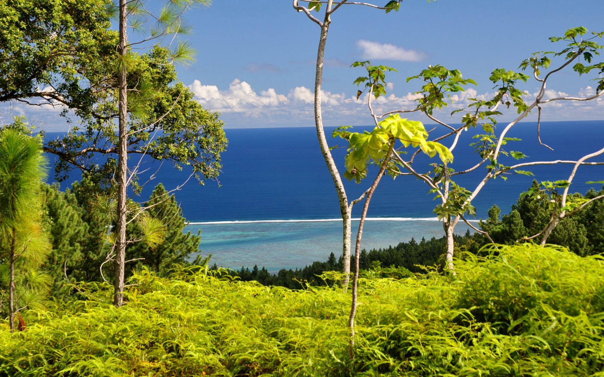 Fonds d'cran Nature Mers - Ocans - Plages 