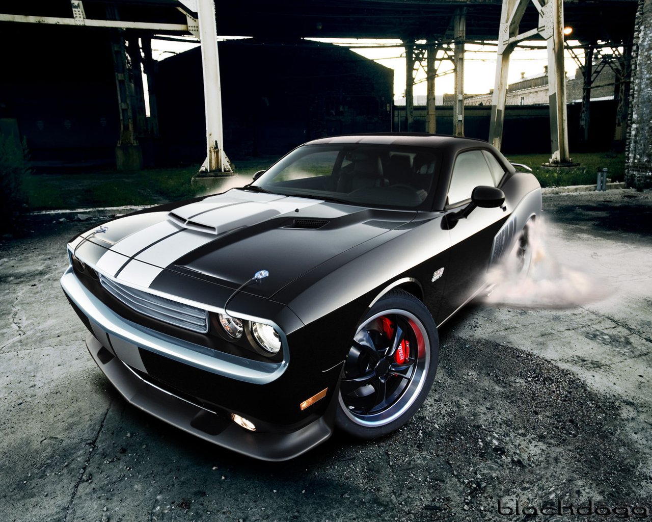 Wallpapers Cars Dodge Dodge Challenger