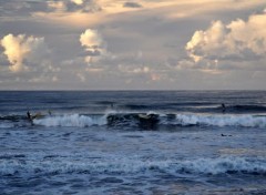  Nature Surf au crpuscule