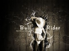  Digital Art Bull Rider