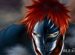  Manga ichigo hollow