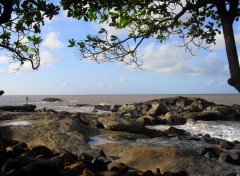 Fonds d'cran Nature Belle plage Antillaise 