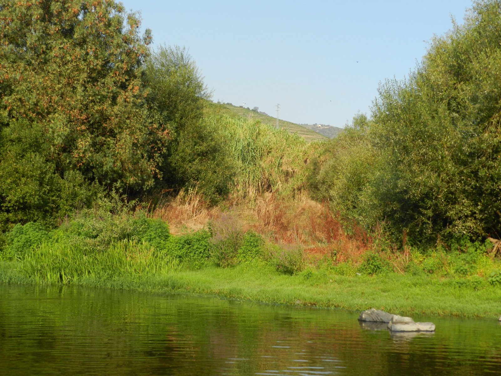 Fonds d'cran Nature Fleuves - Rivires - Torrents eau,terre,ciel.