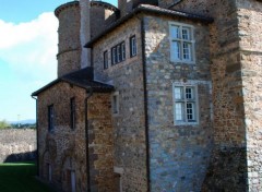  Constructions and architecture chateau de saint Marcel de Flines ,Loire 42