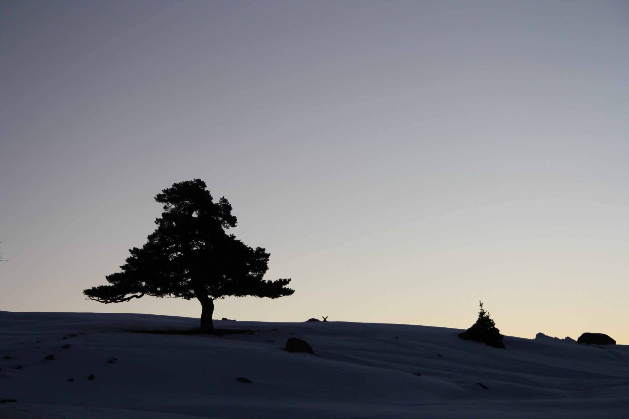 Fonds d'cran Nature Montagnes Albero