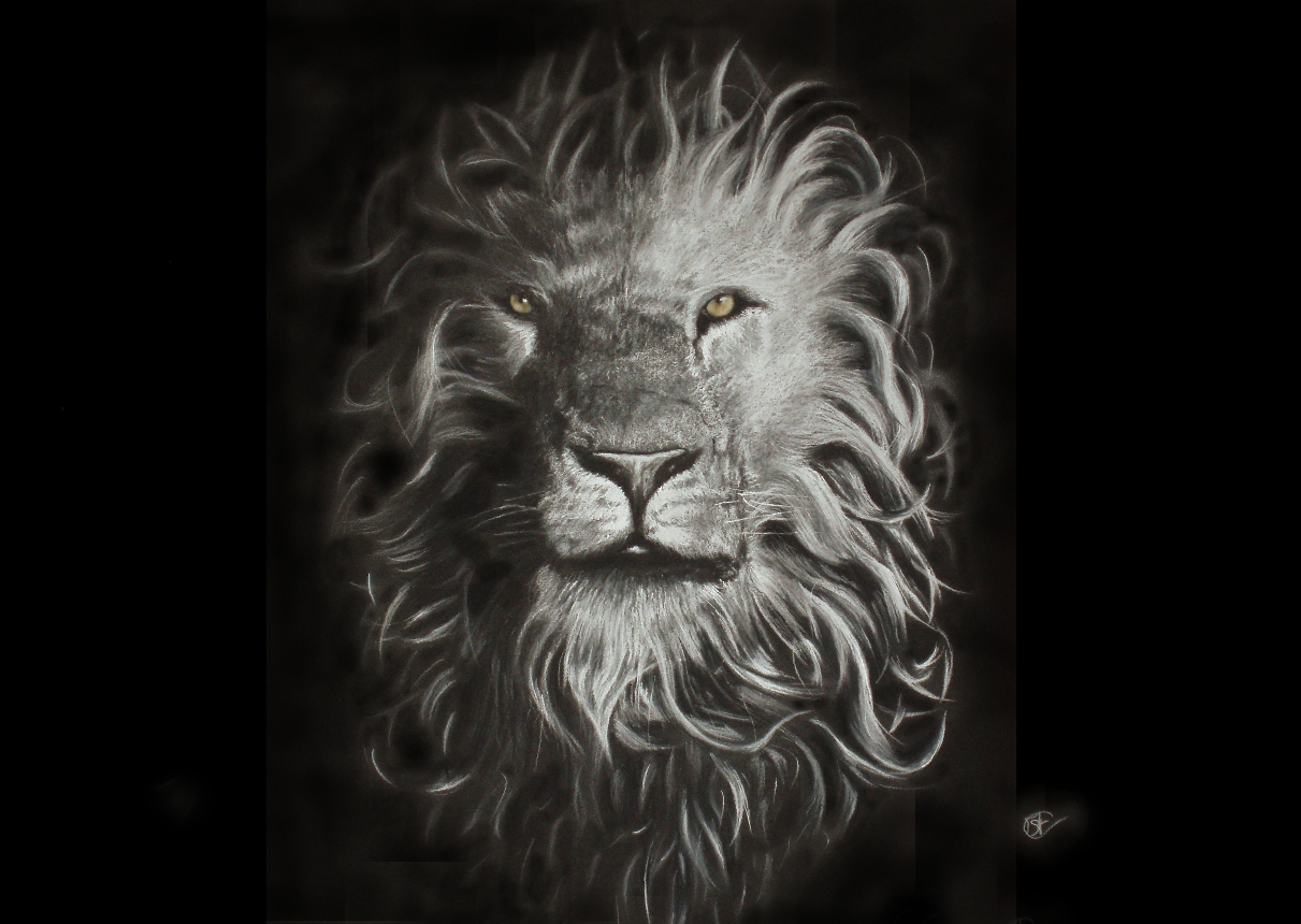 Fonds d'cran Art - Crayon Animaux - Flins lion