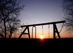  Nature Swing