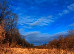  Nature Une promenade dans les bois. 2.