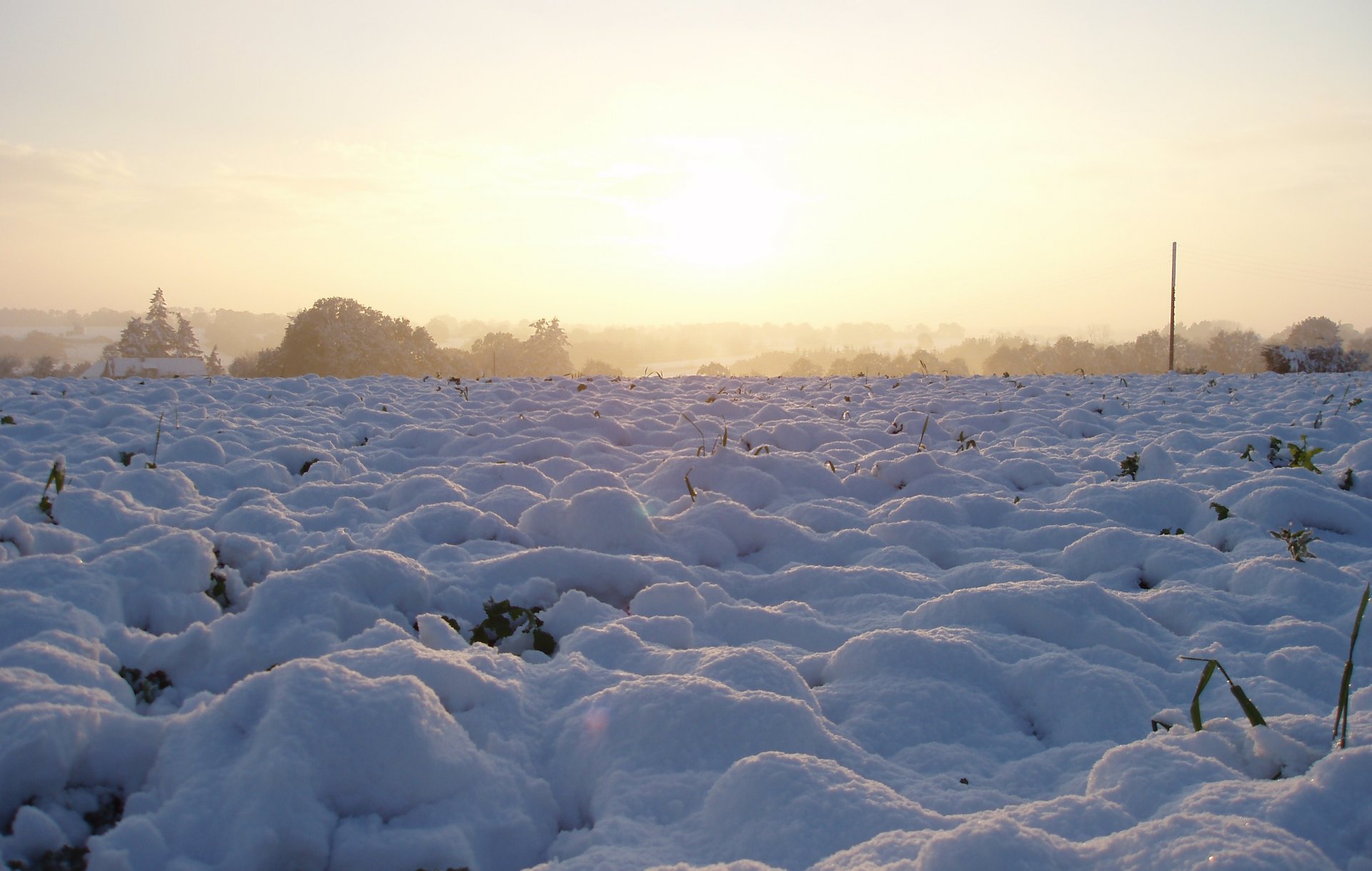 Fonds d'cran Nature Saisons - Hiver 