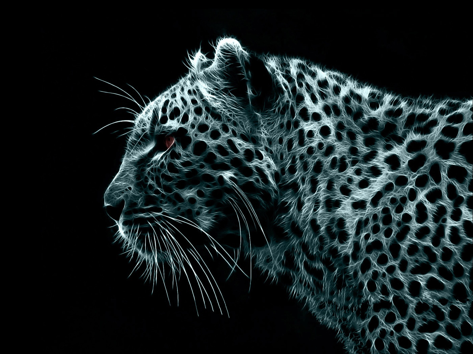 Wallpapers Animals Felines - Miscellaneous 