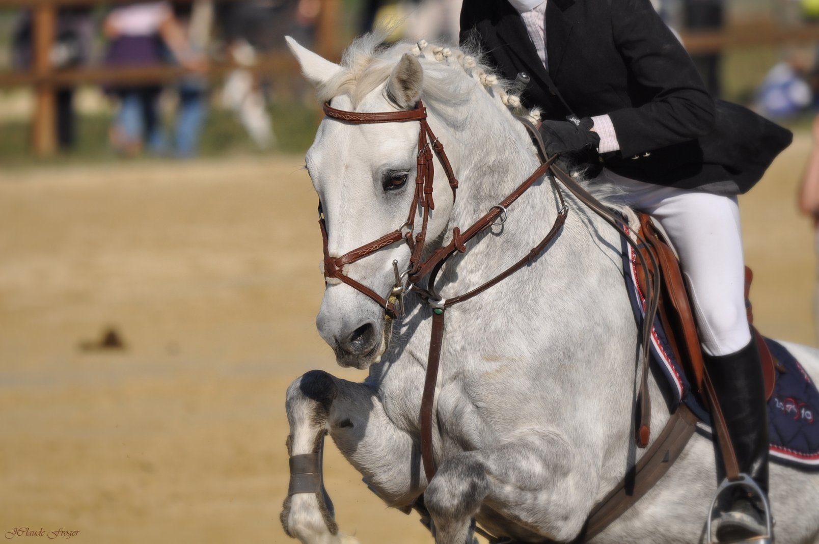 Fonds d'cran Animaux Chevaux Horse Attitude