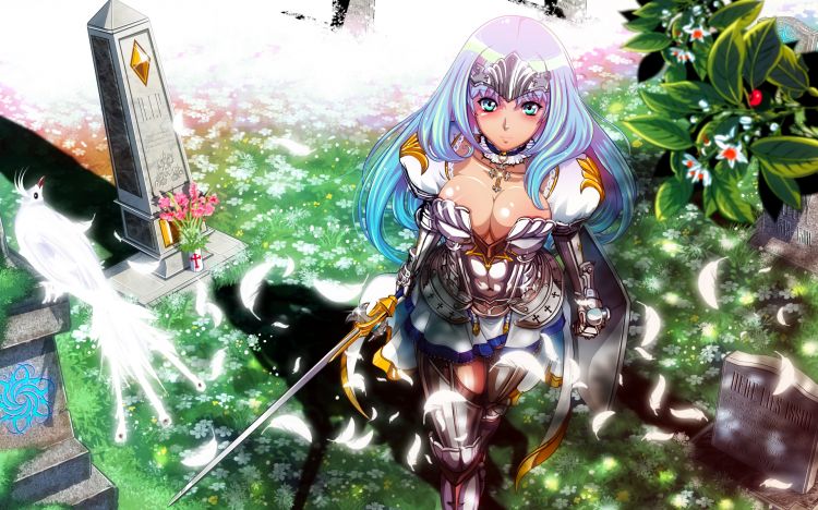 Fonds d'cran Manga Divers queen's blade