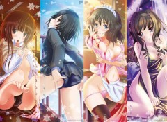 Fonds d'cran Erotic Art amagami